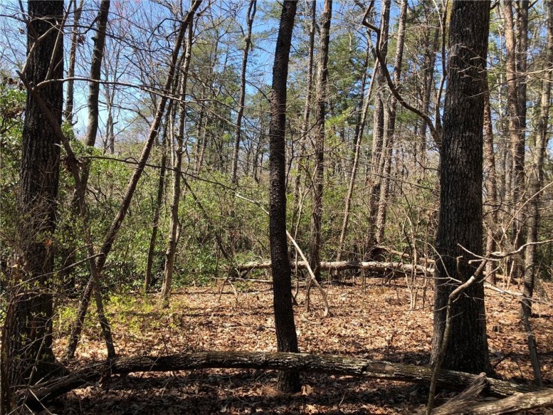 Property image 5 at 804 Inland Trail, Salem, SC 29676