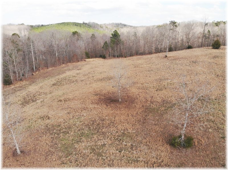 Property image 3 at Lot 19 Paramount Drive, Seneca, SC 29678