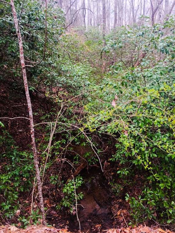 Property image 4 at Lot 24 Talons Ridge Road, Seneca, SC 29672