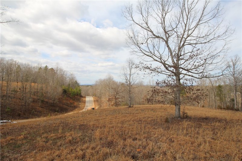 Property image 5 at Lot 18 Paramount Drive, Seneca, SC 29678