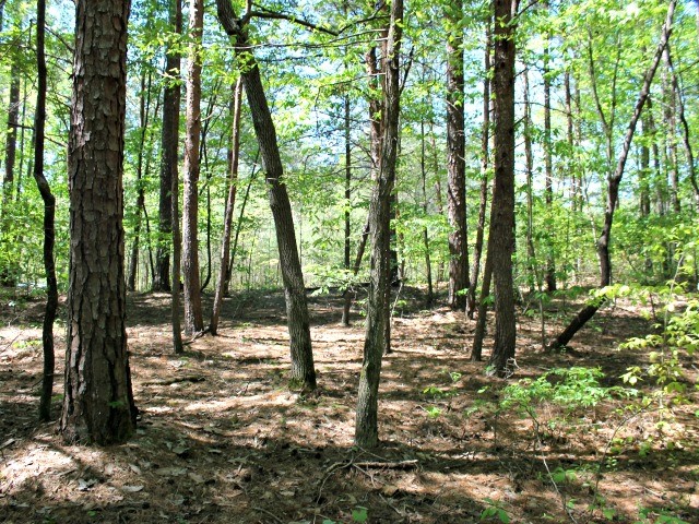 Property image 5 at Lot 62 Four Views Court, Seneca, SC 29672