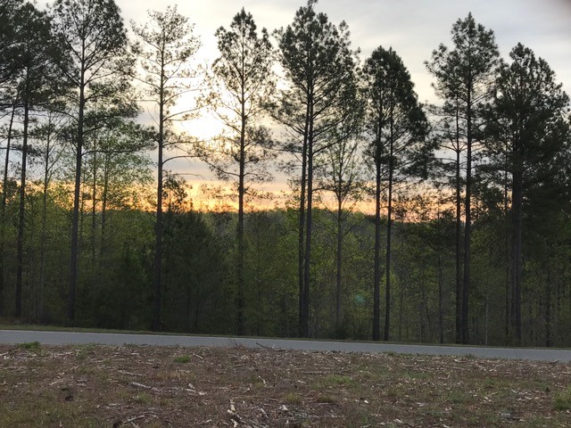 Property image 3 at 416 Spring Cove Way, Six Mile, SC 29682