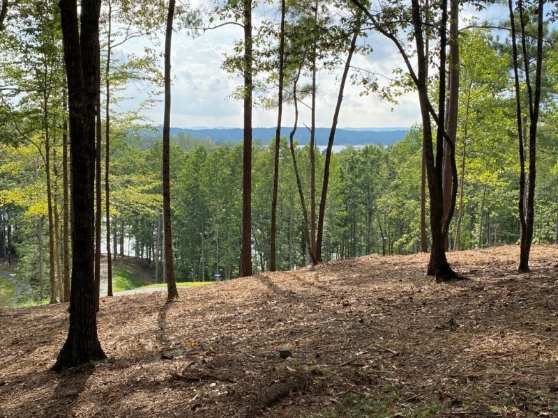 Property image 3 at 0 Sue Craig Road, Six Mile, SC 29682