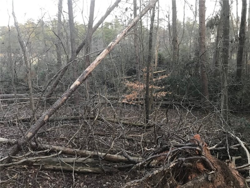 Property image 5 at 225 Lakefront Drive, Anderson, SC 29626