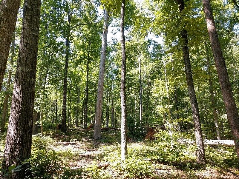 Property image 4 at 182 Julie Way, Pickens, SC 29671