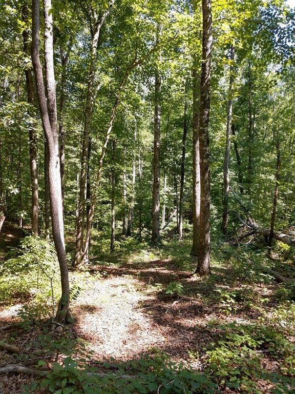 Property image 5 at 182 Julie Way, Pickens, SC 29671