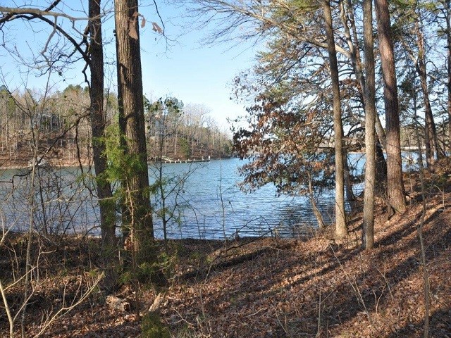 Property image 2 at 0 Sue Craig Road, Six Mile, SC 29682