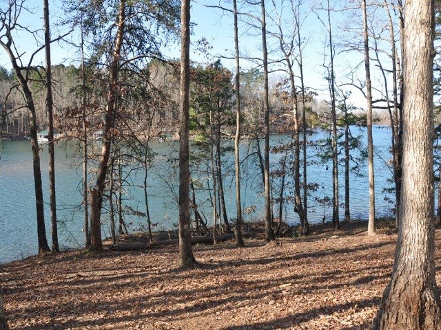 Property image 3 at 0 Sue Craig Road, Six Mile, SC 29682