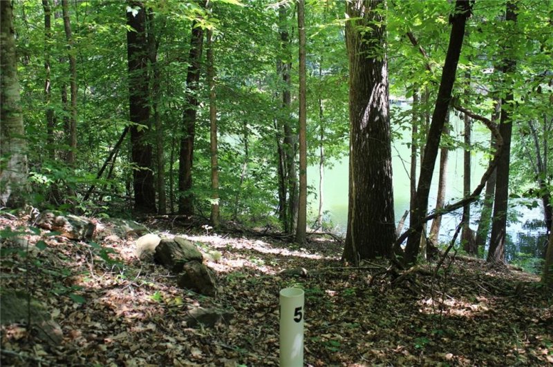 Property image 4 at 603 Preservation Point, Seneca, SC 29672