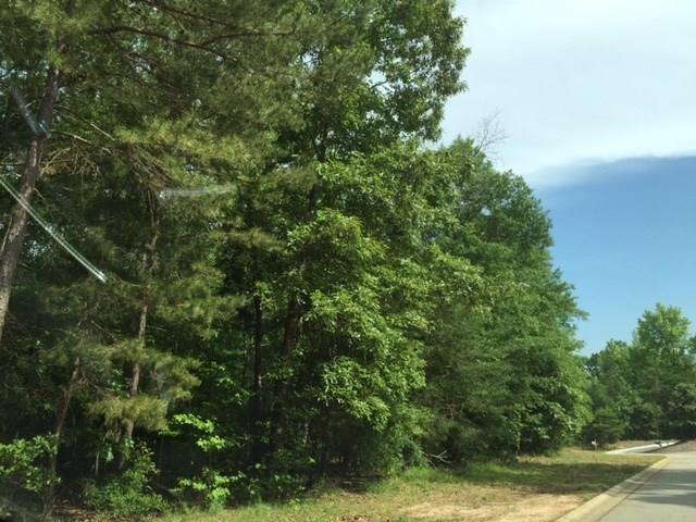 125 Friendship Pointe Drive