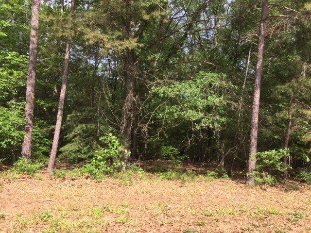 Property image 3 at 125 Friendship Pointe Drive, Seneca, SC 29678