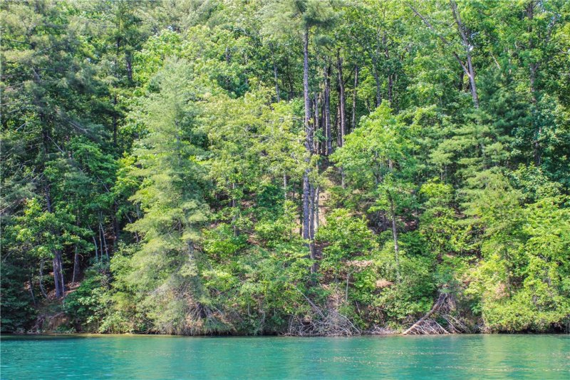 Property image 4 at 408 Ginseng Drive, Sunset, SC 29685