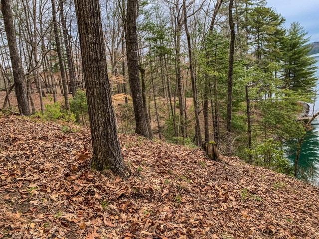 Property image 5 at 408 Ginseng Drive, Sunset, SC 29685