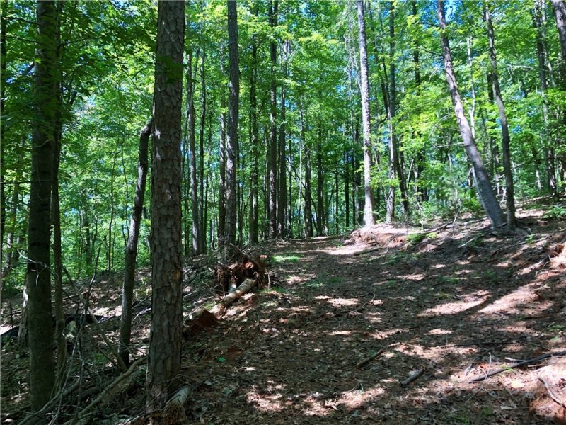 Property image 4 at Lot 108 Trail Tree Drive, West Union, SC 29696