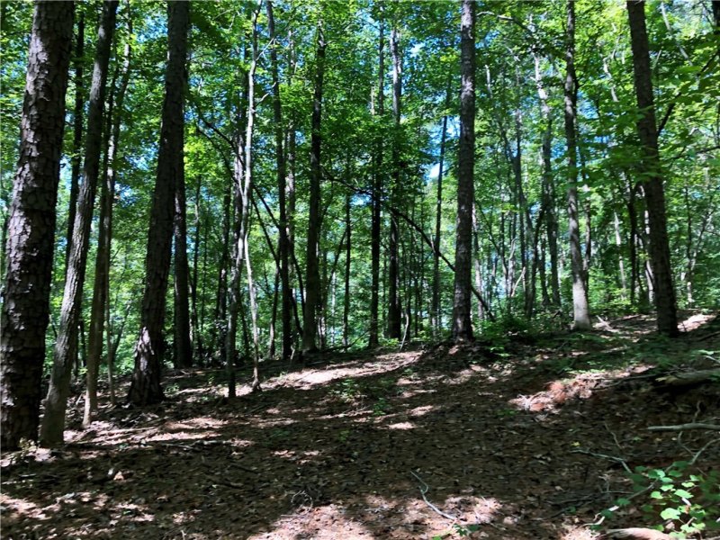 Property image 5 at Lot 108 Trail Tree Drive, West Union, SC 29696