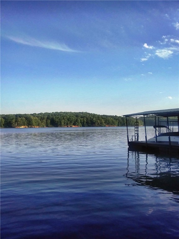 Property image 3 at 288 Port Bass Drive, Fair Play, SC 29643