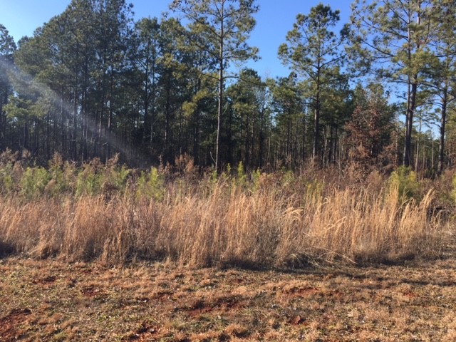 Property image 2 at Lot 130 Peninsula Pointe, West Union, SC 29696