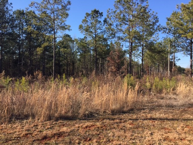 Property image 3 at Lot 130 Peninsula Pointe, West Union, SC 29696