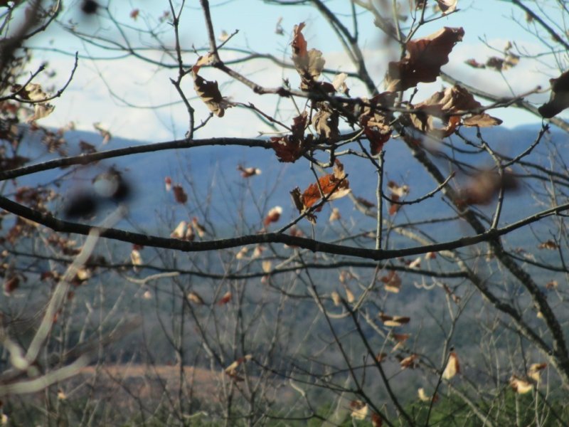 259 Jocassee Ridge Way