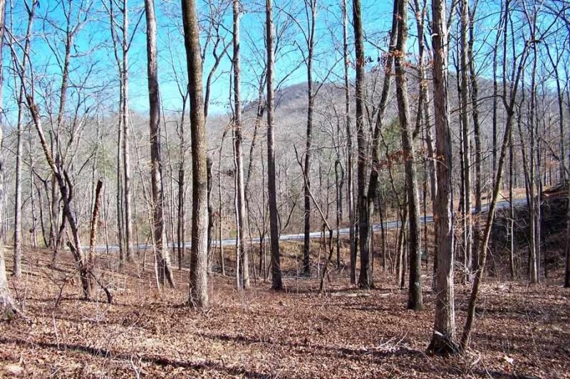 Property image 3 at 129 Julie Way, Pickens, SC 29671