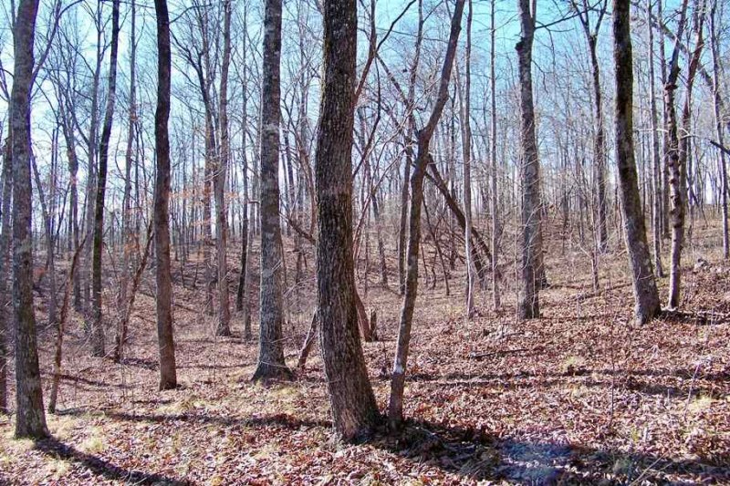 Property image 5 at 129 Julie Way, Pickens, SC 29671