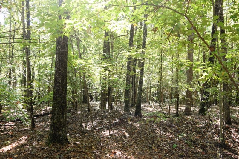 Property image 3 at 12 Westwind Court, Salem, SC 29676