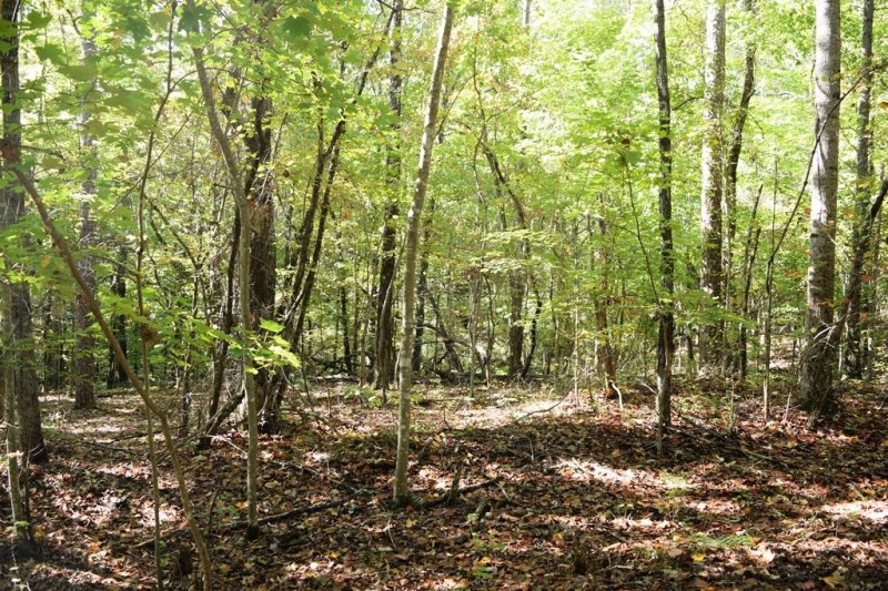 Property image 4 at 12 Westwind Court, Salem, SC 29676