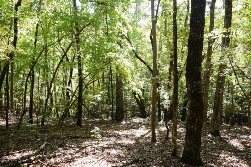 Property image 5 at 12 Westwind Court, Salem, SC 29676