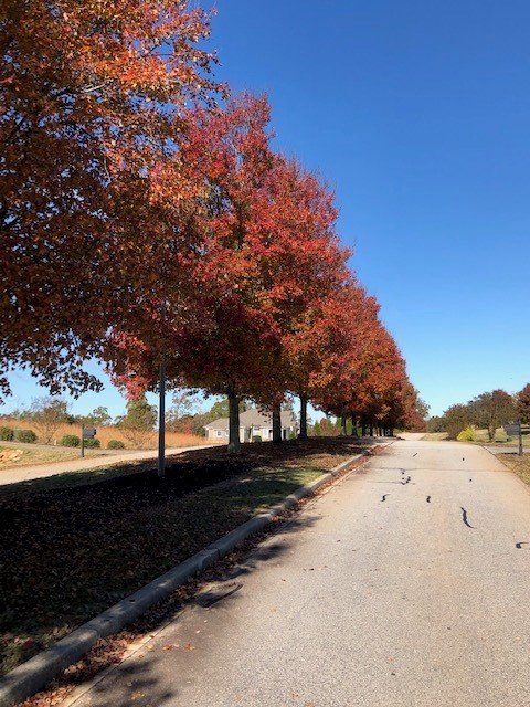 Property image 3 at #5 Paramount Drive, Seneca, SC 29678