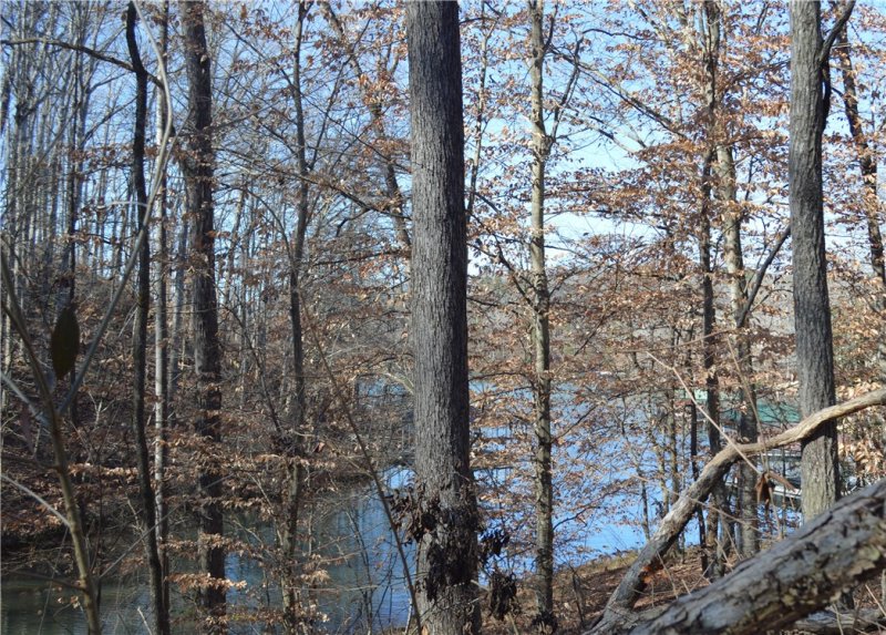 Property image 5 at 224 Long Bay Drive, West Union, SC 29696