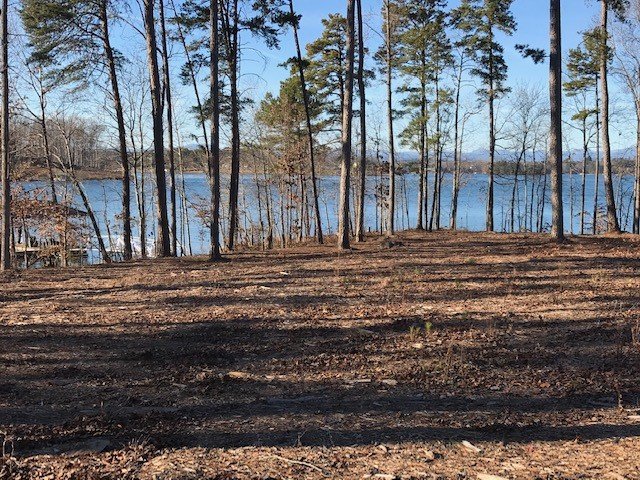 Property image 4 at Lot 16 Marina Bay, Seneca, SC 29678