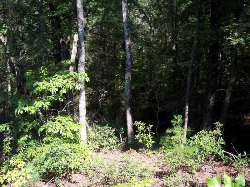 Property image 2 at 353 Woodmere Drive, Pickens, SC 29671