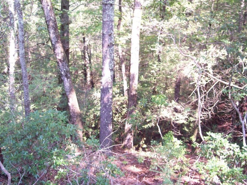 Property image 4 at 353 Woodmere Drive, Pickens, SC 29671