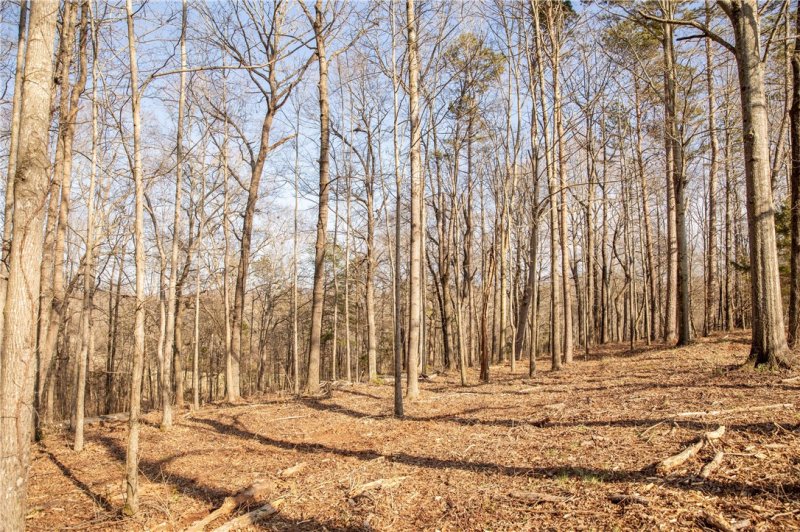 Property image 3 at 1817 Cross Creek Drive, Seneca, SC 29678