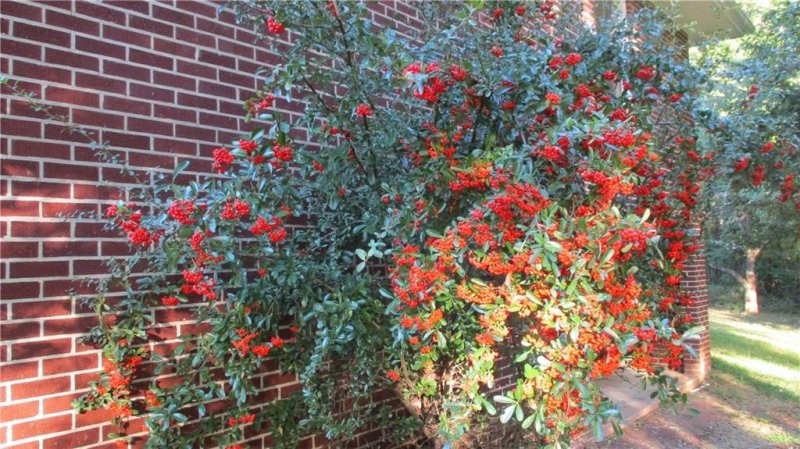 Property image 4 at 132 Tanglewood Drive, Anderson, SC 29621