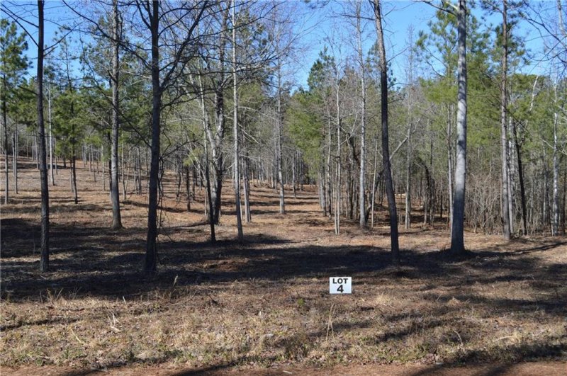 Property image 4 at Lot 4 Stokes Drive, Seneca, SC 29672