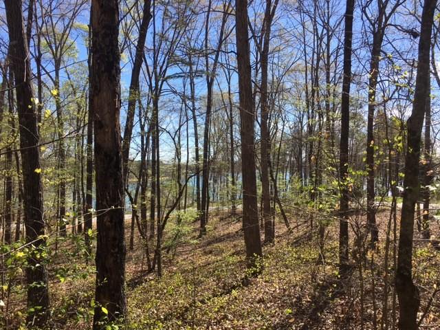 lot 30 Pointe Harbor Drive Corner