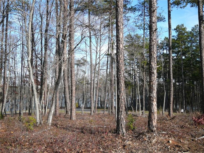 Property image 3 at lot 30 Pointe Harbor Drive Corner, Seneca, SC 29672
