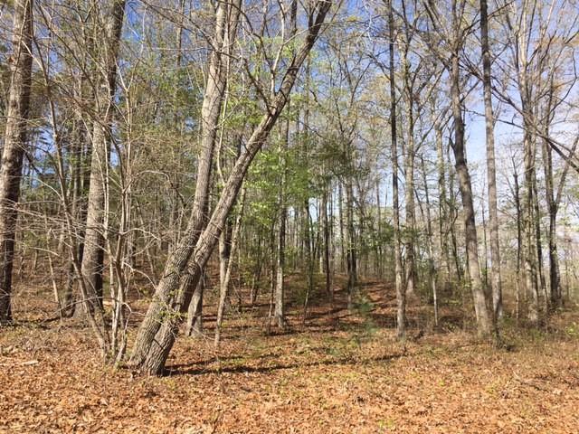 Property image 4 at lot 30 Pointe Harbor Drive Corner, Seneca, SC 29672