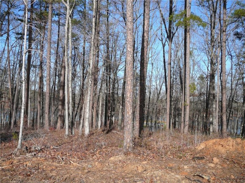 Property image 5 at lot 30 Pointe Harbor Drive Corner, Seneca, SC 29672