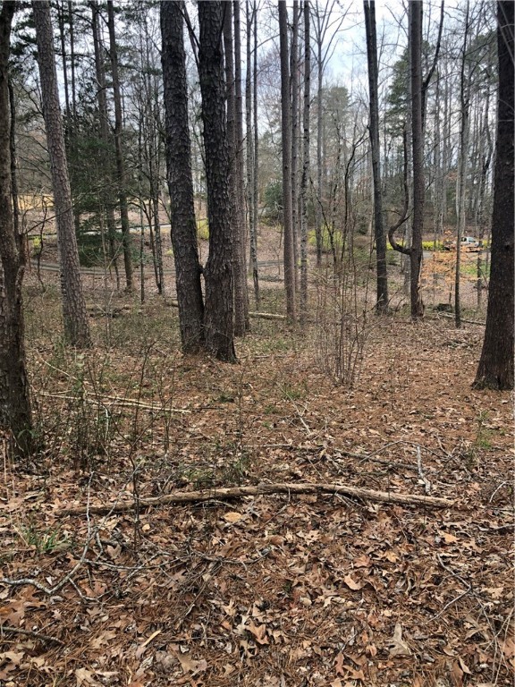 Property image 5 at 124 Pinnacle Pointe Drive, Seneca, SC 29672