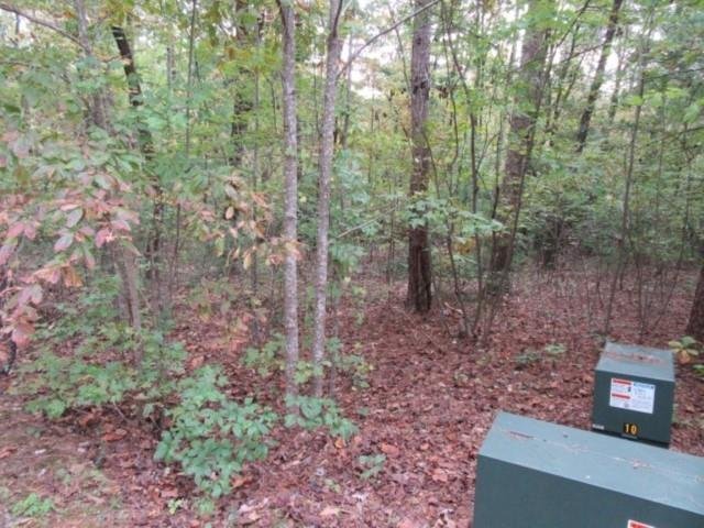 Property image 4 at 305 Whispering  Falls Drive, Pickens, SC 29671