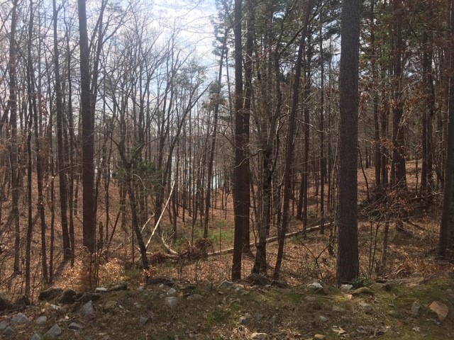 Property image 3 at Lot 40 Escape Trail, West Union, SC 29696