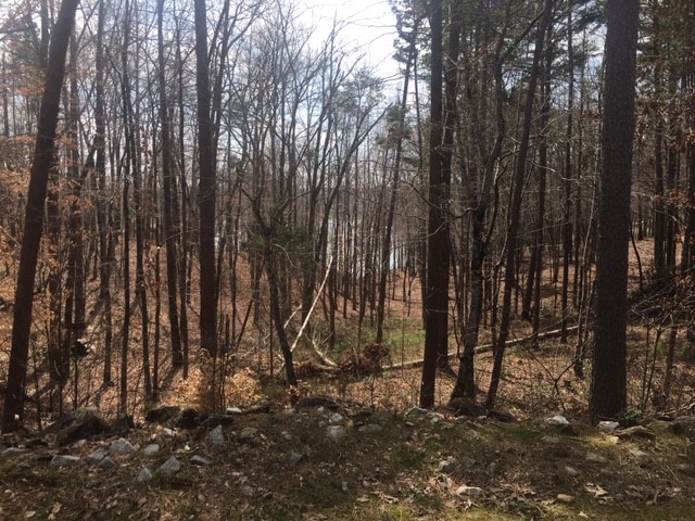 Property image 5 at Lot 40 Escape Trail, West Union, SC 29696