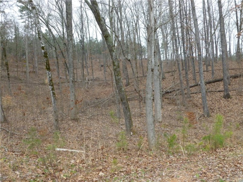 Property image 2 at 00 Hardwood Pointe Drive, West Union, SC 29696