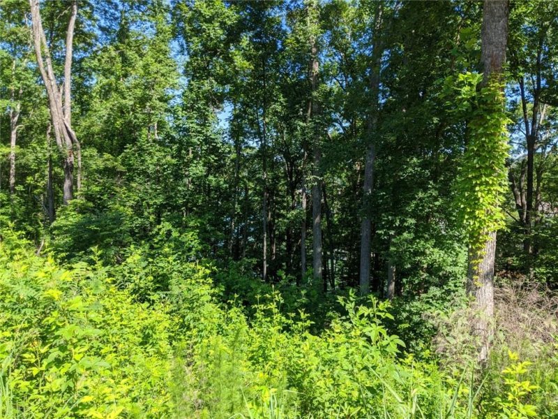 Property image 5 at Lot 3 Kensington Circle, Seneca, SC 29672