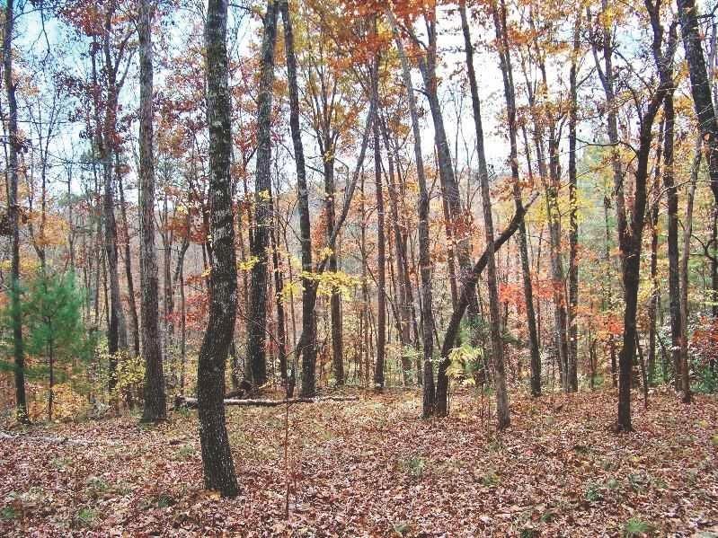 Property image 2 at 728 Scharlin Drive, Pickens, SC 29671