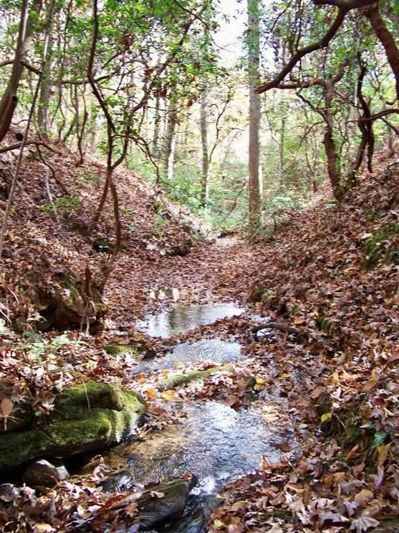 Property image 5 at 728 Scharlin Drive, Pickens, SC 29671