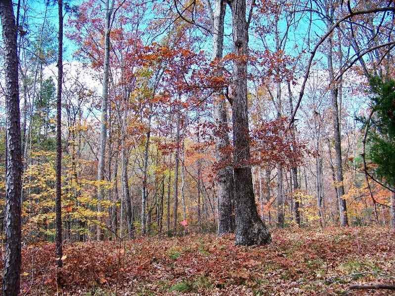 Property image 3 at 802 Scharlin Drive, Pickens, SC 29671