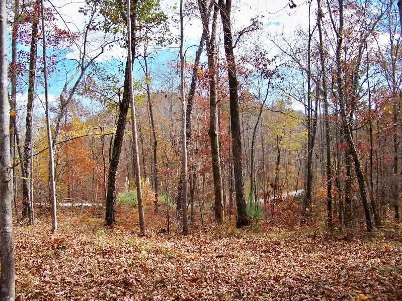 Property image 5 at 802 Scharlin Drive, Pickens, SC 29671